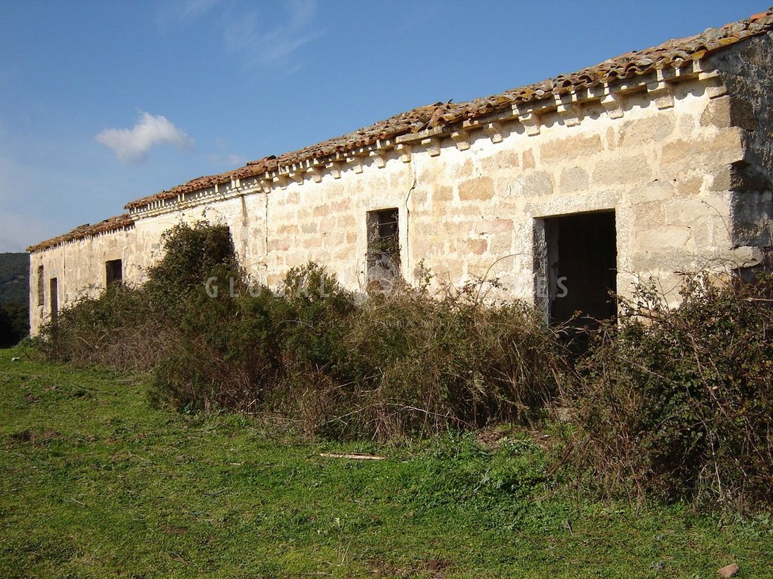Farm Ranch in Sant'Antonio di Gallura, Sardinia, Italy 3 - 14474096