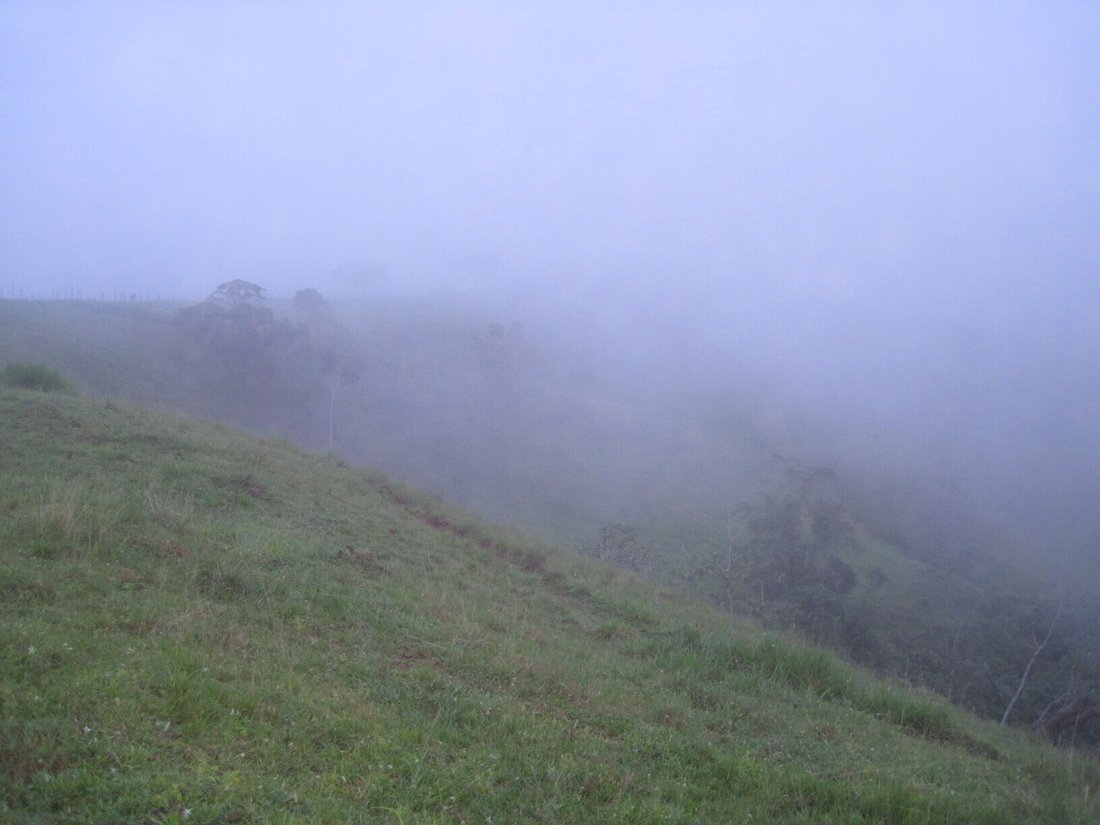 Farm Ranch in Lajas de Tolé, Chiriquí Province, Panama 2 - 14472442
