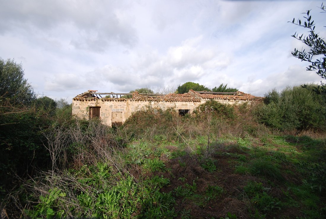 Farm Ranch in Sant'Antonio di Gallura, Sardinia, Italy 5 - 14474096
