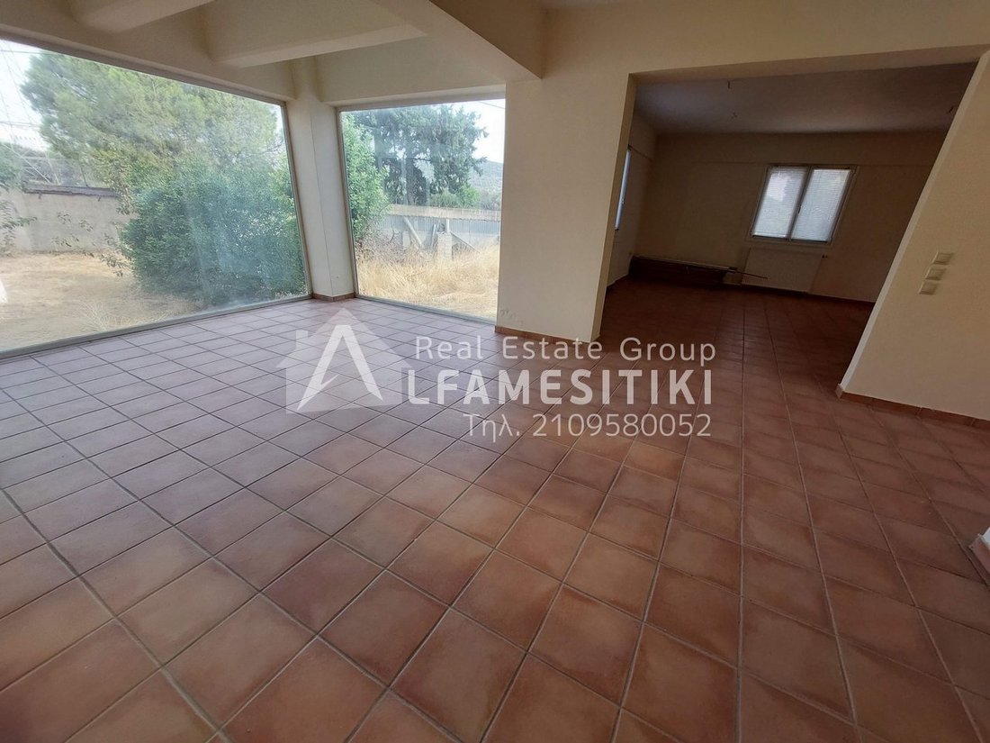 Anthousa, Attica, Greece 4 - 14333124