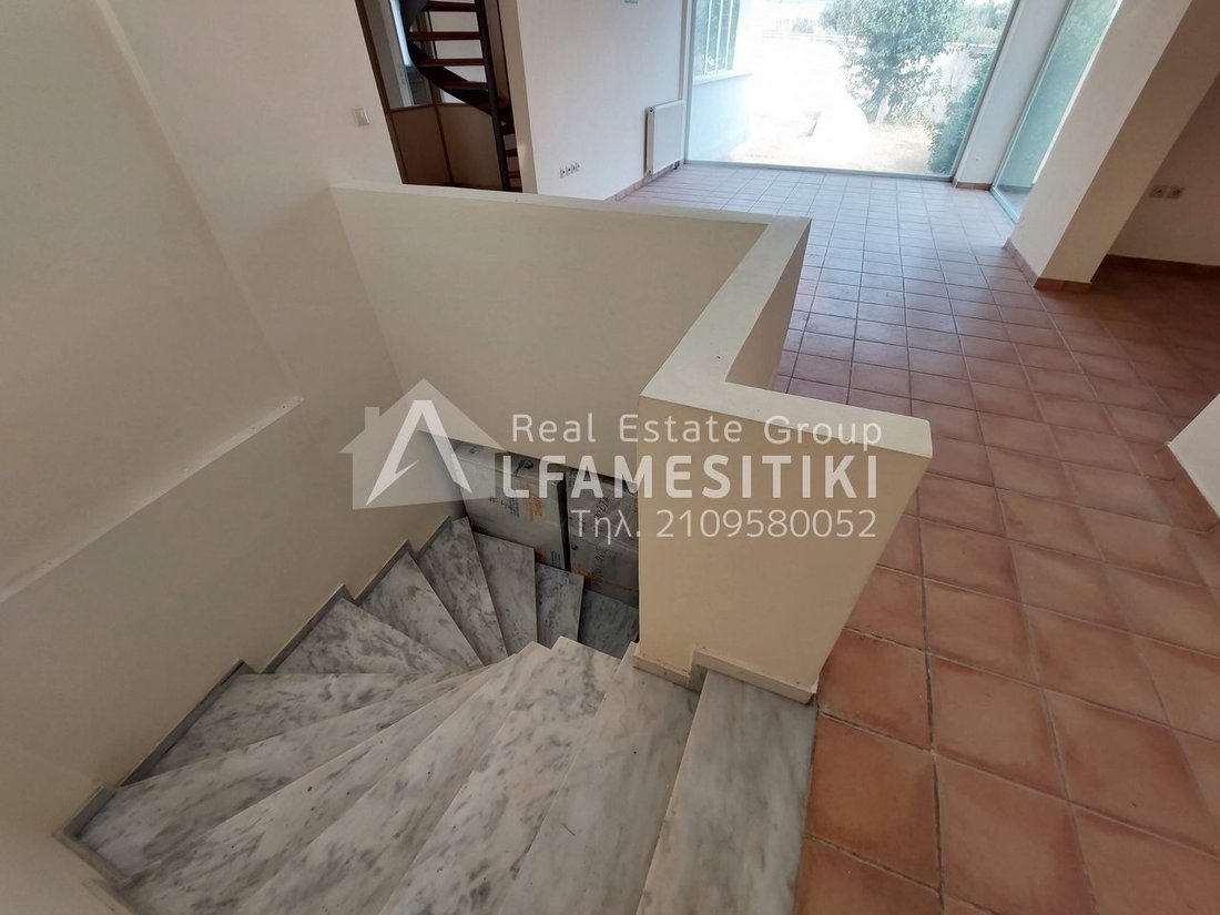 Anthousa, Attica, Greece 5 - 14333124