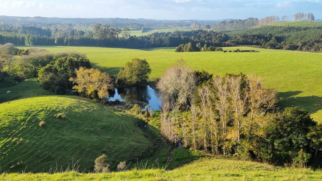 Farm Ranch in Kerikeri, Northland, New Zealand 2 - 14472691