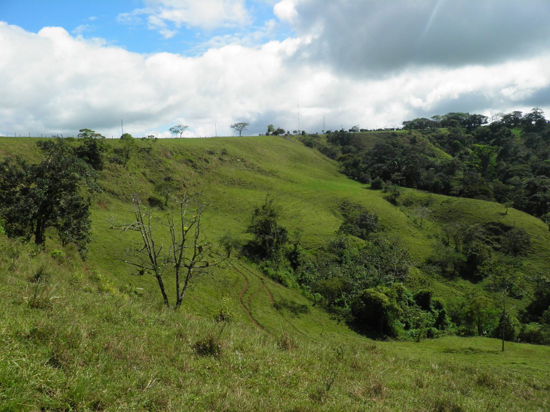 Farm Ranch in Lajas de Tolé, Chiriquí Province, Panama 5 - 14472442