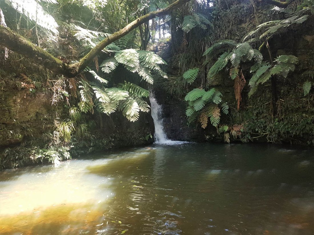 Farm Ranch in Kerikeri, Northland, New Zealand 3 - 14472691