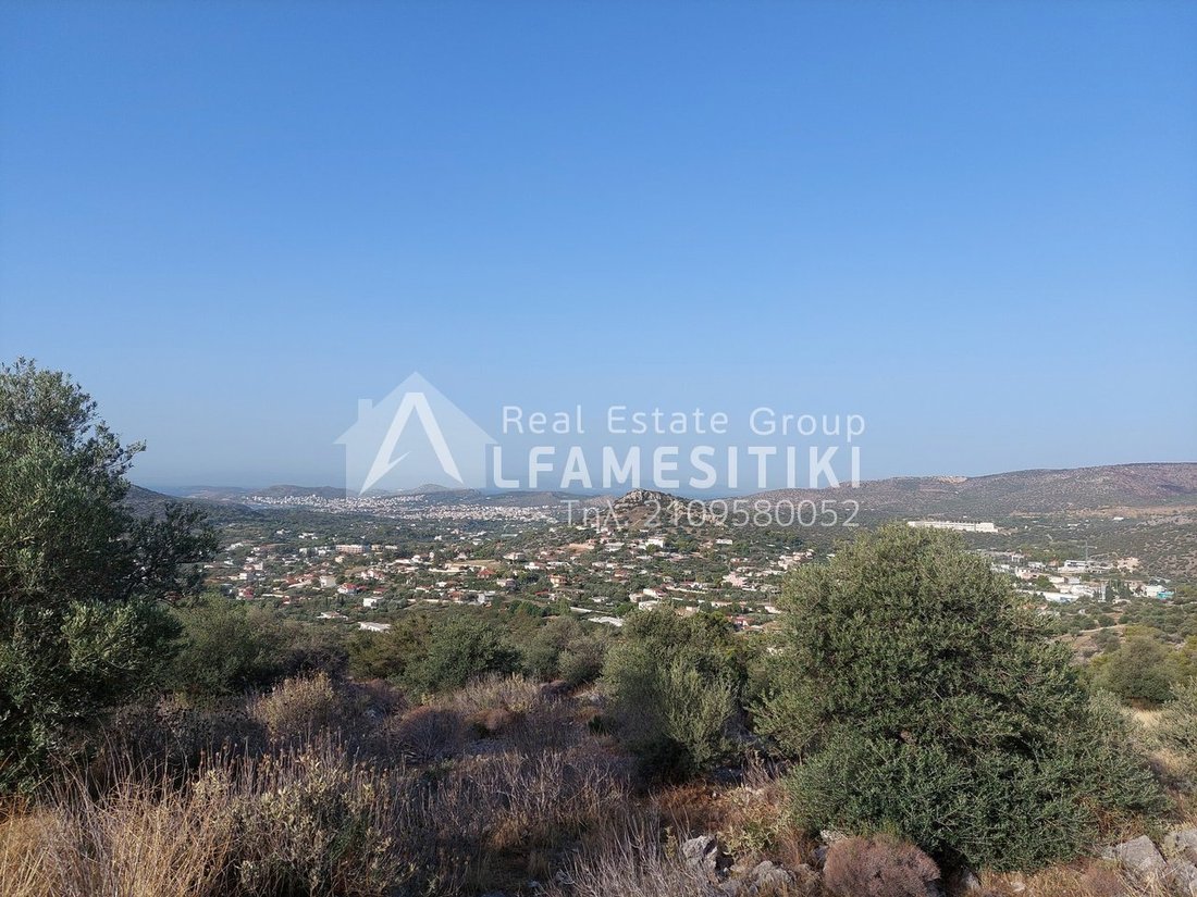 Land in Kropia, Attica, Greece 5 - 14333128