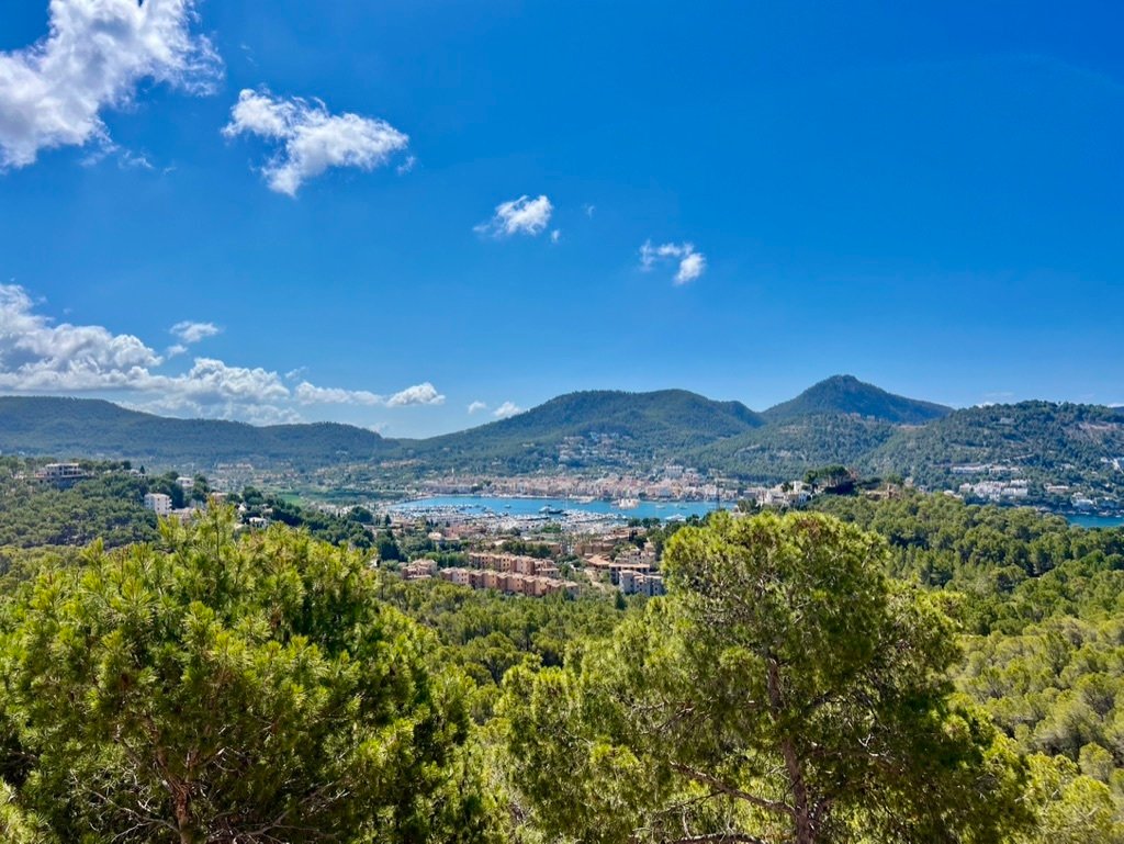 Chalet in Port d'Andratx, Andratx, Balearic Islands 5 - 14471894