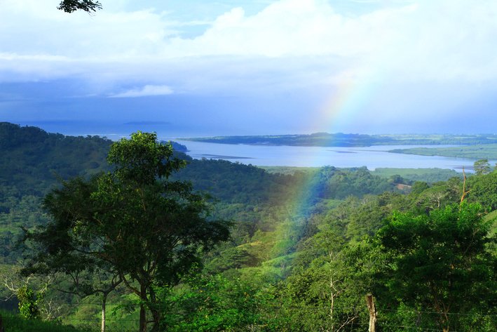 Farm Ranch in Lajas de Tolé, Chiriquí Province, Panama 1 - 14472442