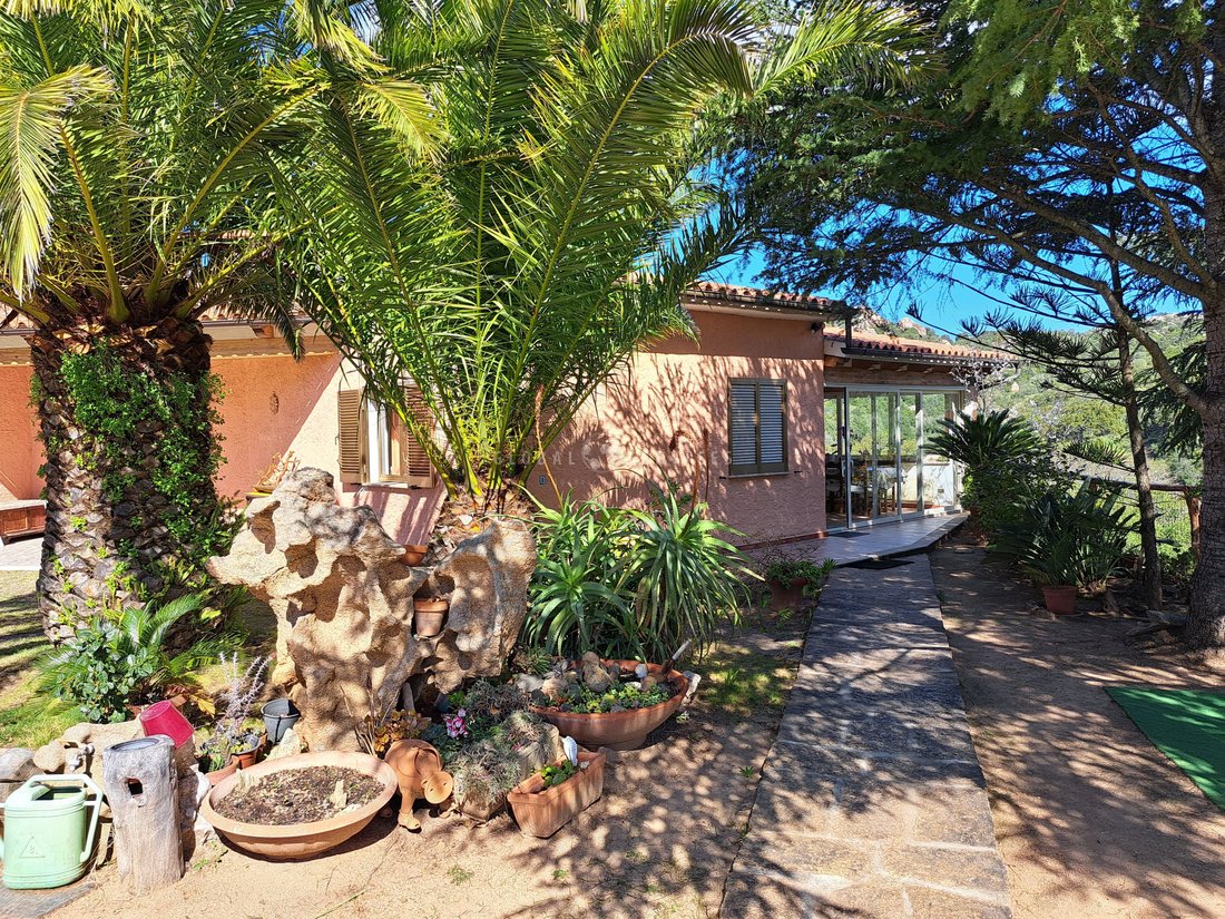 Villa in Sant'Antonio di Gallura, Sardinia, Italy 4 - 14474081