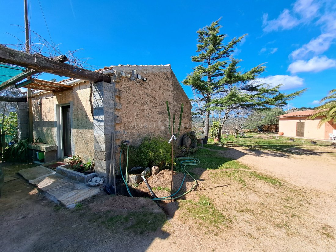 Villa in Sant'Antonio di Gallura, Sardinia, Italy 1 - 14474081