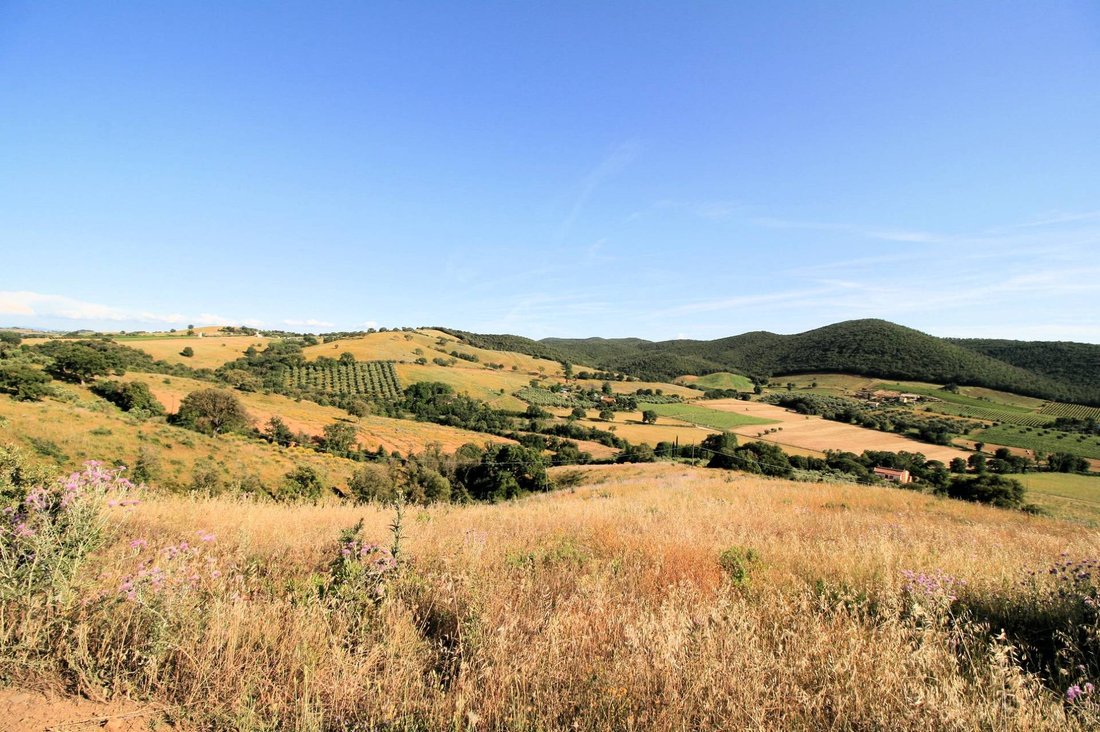 Country House in Magliano in Toscana, Tuscany, Italy 3 - 14478021