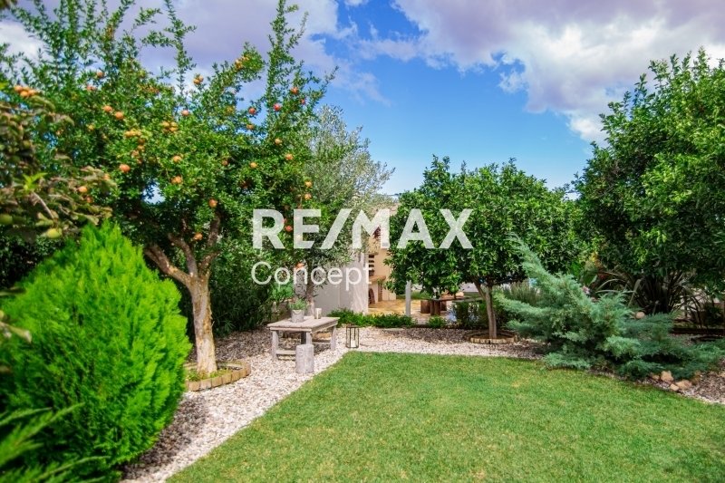 House in Romiriou, Artemisia, Greece 4 - 14477060