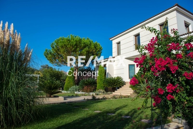 House in Romiriou, Artemisia, Greece 1 - 14477060