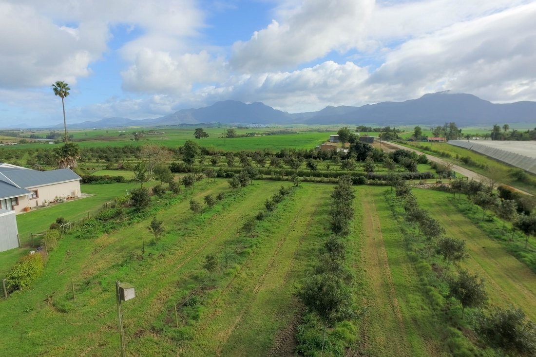 Macadamia And Avocado Farm For Sale In Western Cape, South