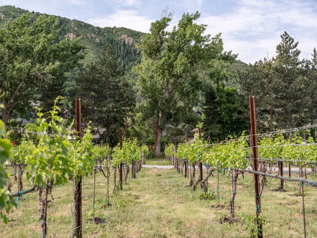 Land in Sandy, Utah, United States 5 - 14412511