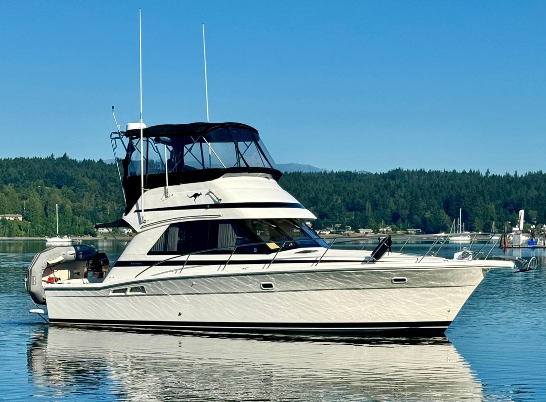 Sport Fisherman in United States 1 - 14485554