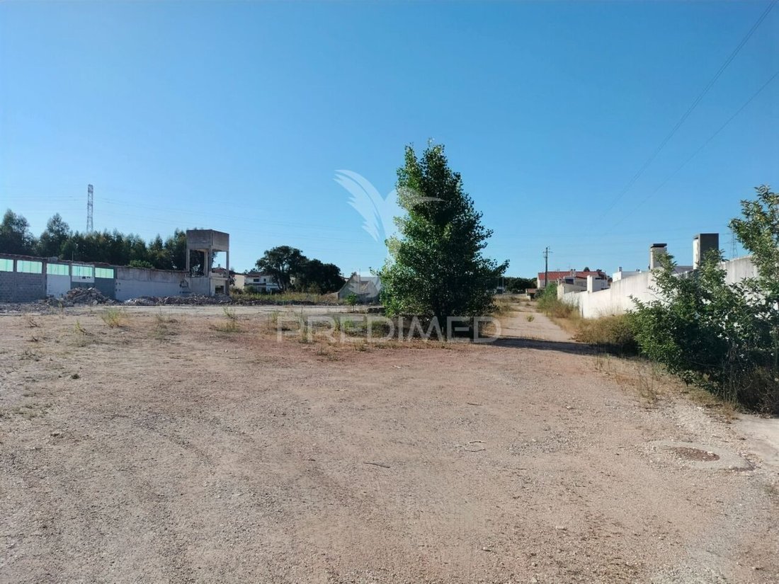 Land in Nossa Senhora de Fatima, Santarem District, Portugal 3 - 14486686