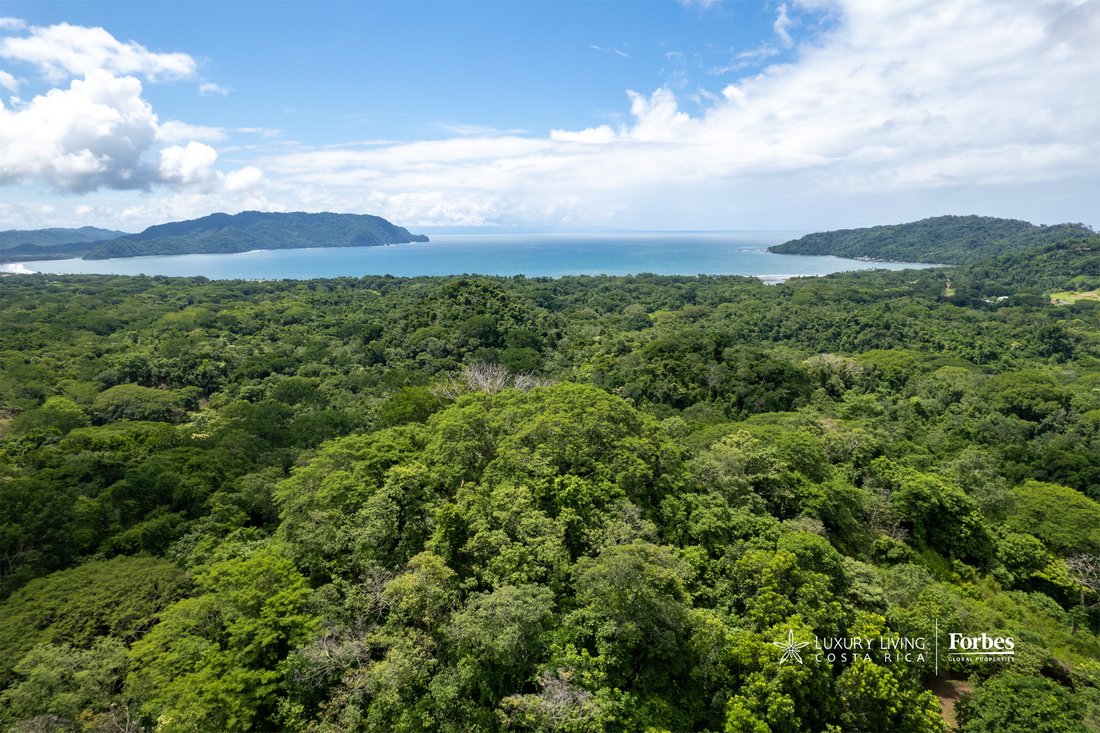 House in Tambor, Puntarenas Province, Costa Rica 3 - 14481924