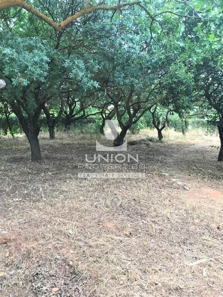 Land in North Athens, Attica, Greece 5 - 14489735