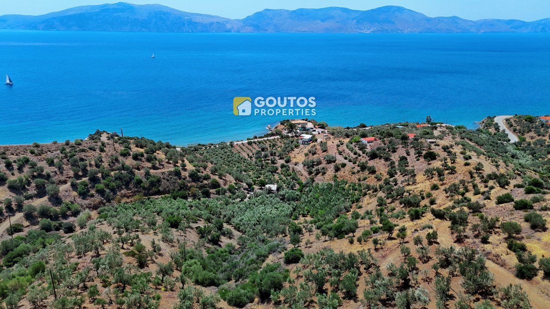 Land in Poros, Attica, Greece 2 - 14489402