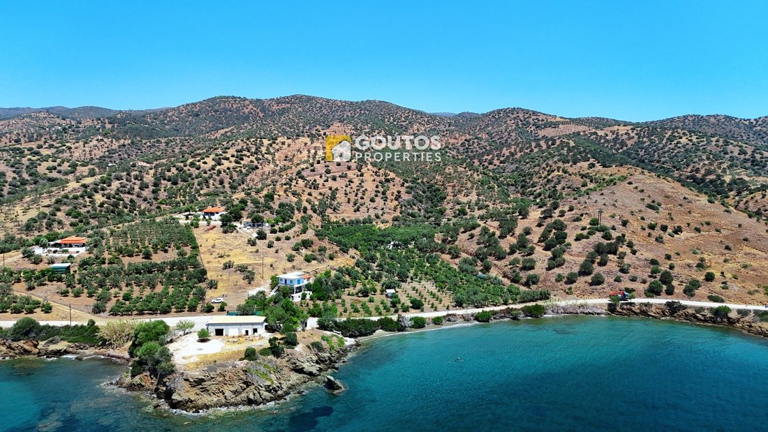 Land in Poros, Attica, Greece 1 - 14489402