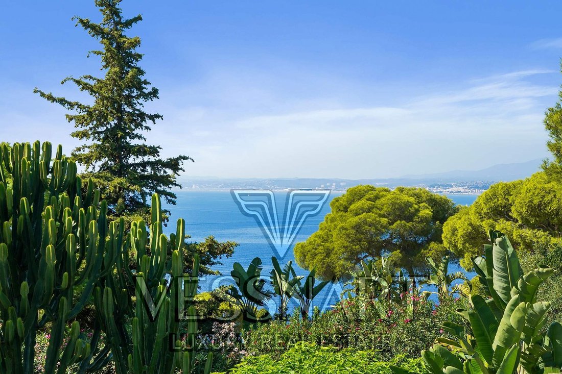 Villa in Saint-Jean-Cap-Ferrat, Provence-Alpes-Côte d'Azur, France 4 - 14491326
