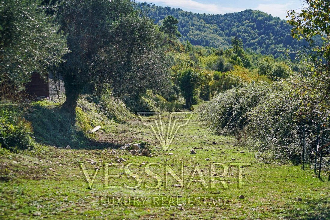 Villa in Menton, Provence-Alpes-Côte d'Azur, France 5 - 14491345