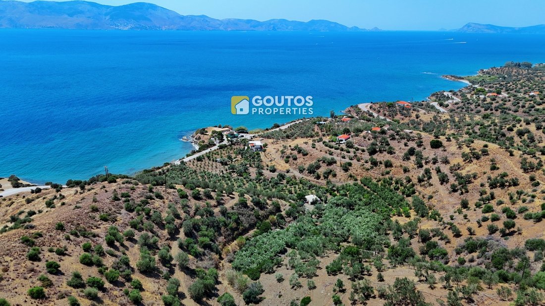 Land in Poros, Attica, Greece 4 - 14489402
