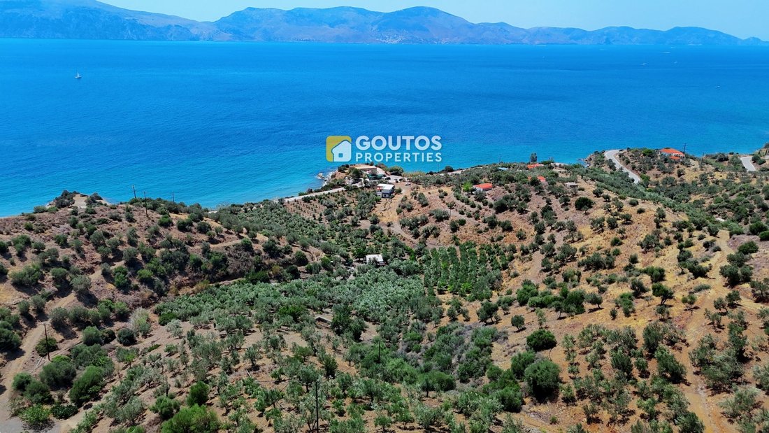 Land in Poros, Attica, Greece 3 - 14489402