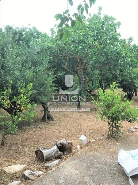 Land in North Athens, Attica, Greece 1 - 14489735