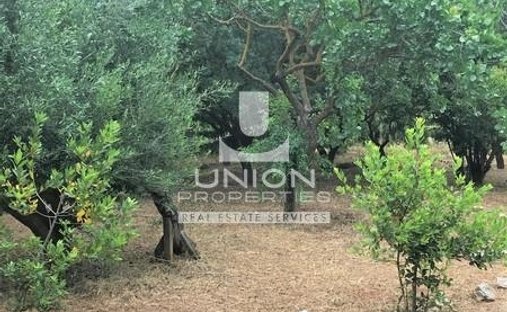 Land in North Athens, Attika, Griechenland 1