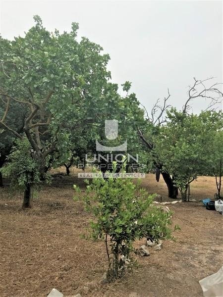 Land in North Athens, Attica, Greece 2 - 14489735