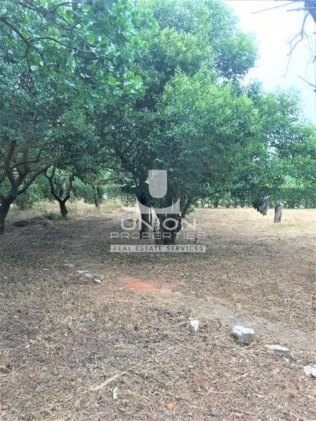 Land in North Athens, Attica, Greece 4 - 14489736