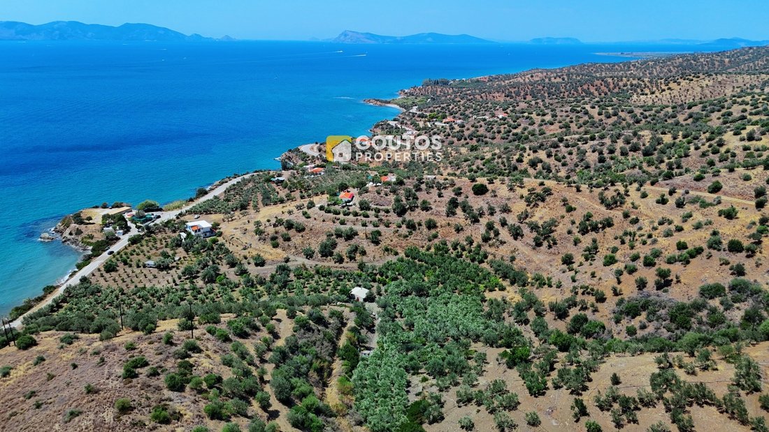 Land in Poros, Attica, Greece 5 - 14489402