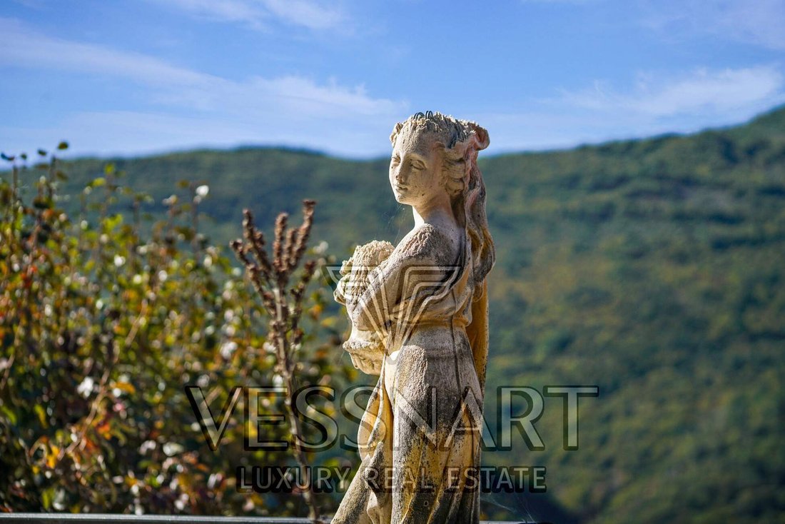 Villa in Menton, Provence-Alpes-Côte d'Azur, France 4 - 14491345