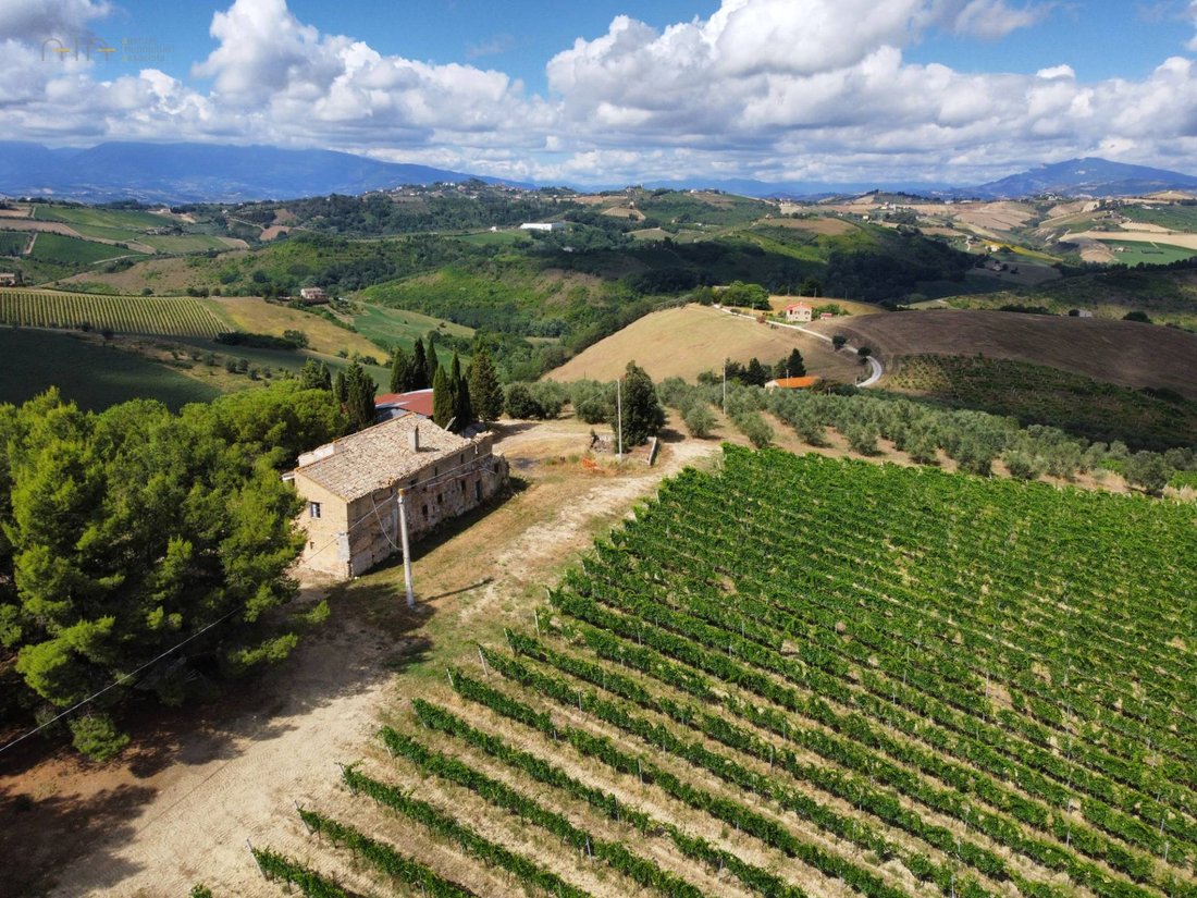Country House in Acquaviva Picena, Marche, Italy 1 - 14490963