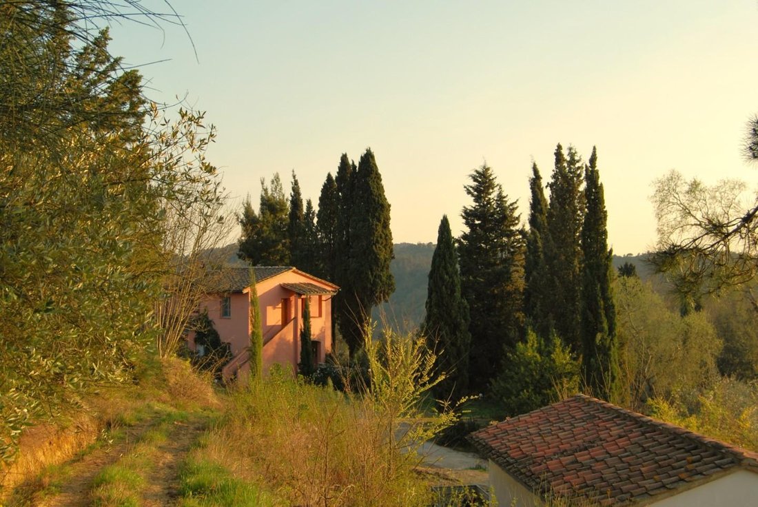 Farm Ranch in San Miniato, Tuscany, Italy 5 - 11794765