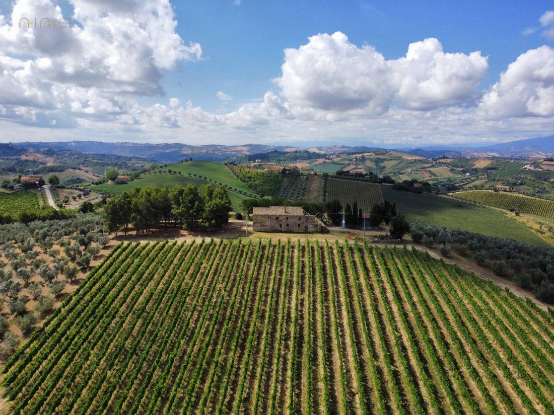 Country House in Acquaviva Picena, Marche, Italy 3 - 14490963