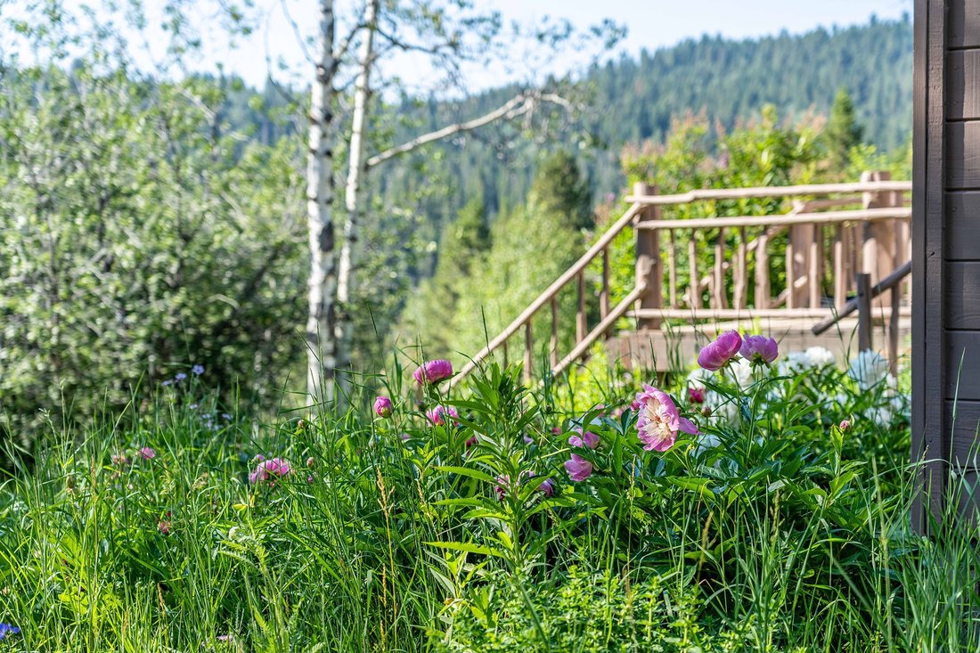 House in Jackson, Wyoming, United States 4 - 14489177