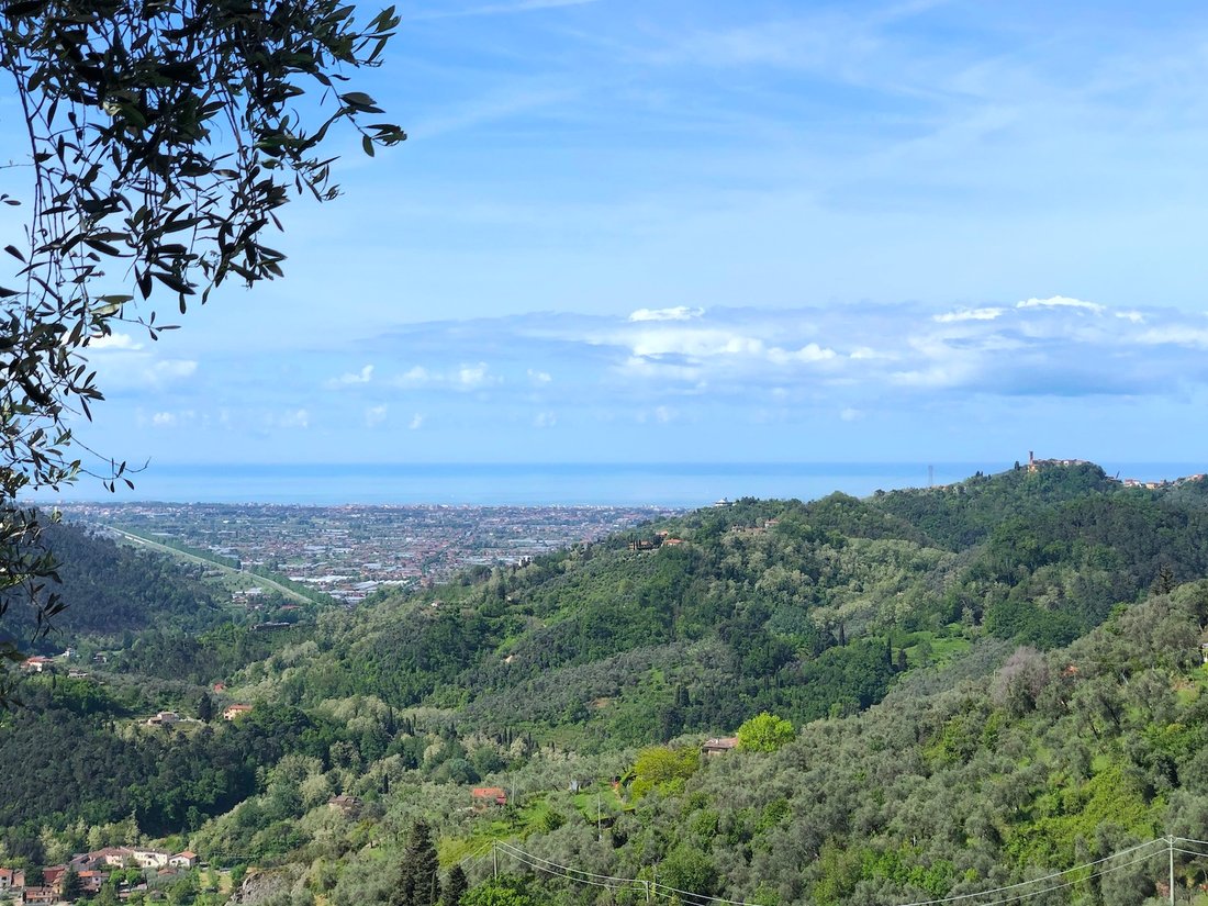 Villa in Camaiore, Tuscany, Italy 1 - 14491869