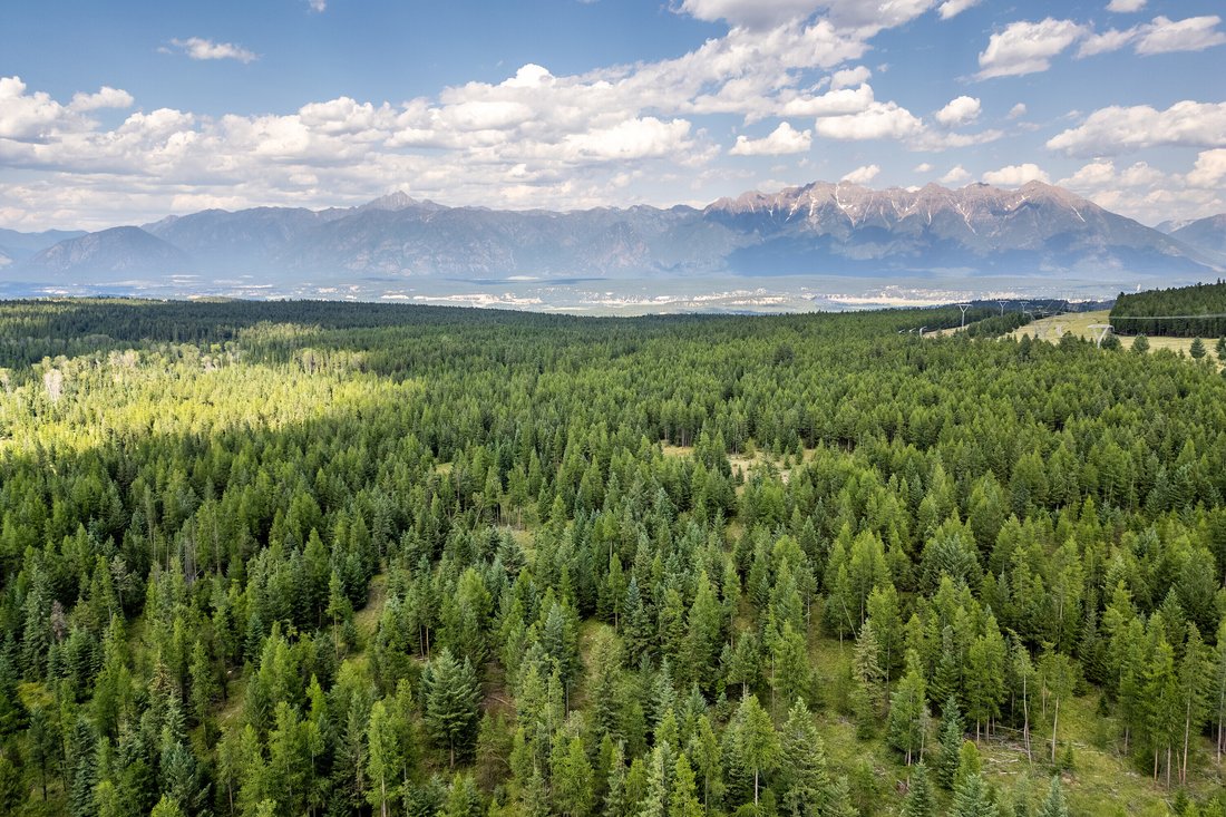 Land in Cranbrook, British Columbia, Canada 5 - 13642285
