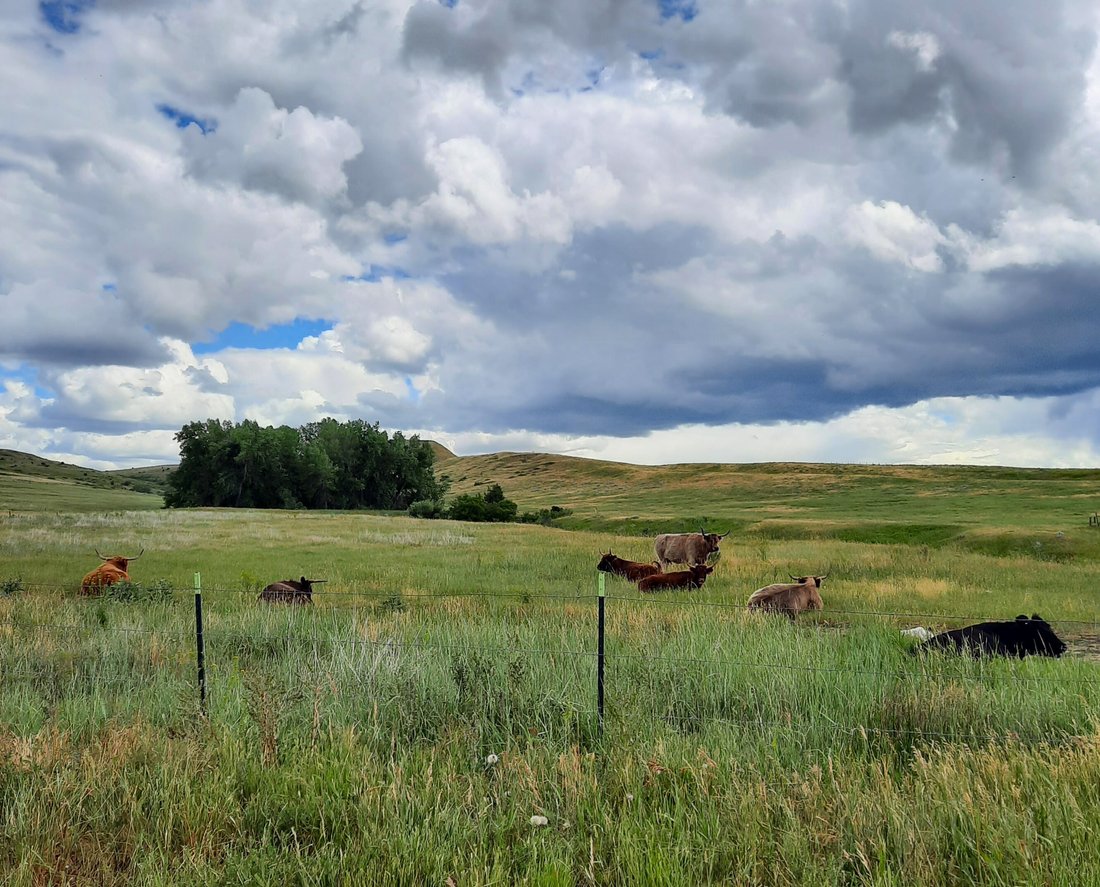 Vacant Land (10+ Acres) In Sheridan, Wyoming, United States For Sale
