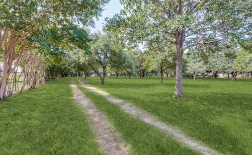 Land in Mansfield, Texas, United States 1
