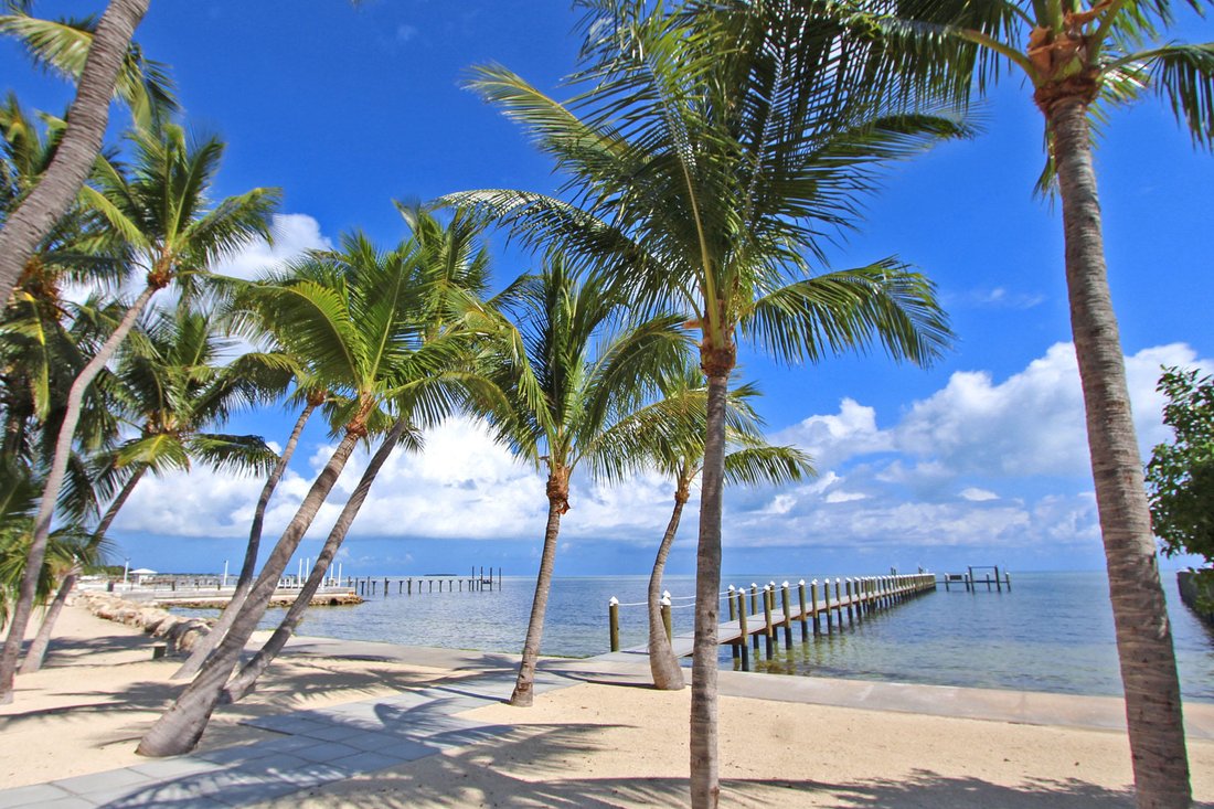 House in Tavernier, Florida, United States 1 - 14493036