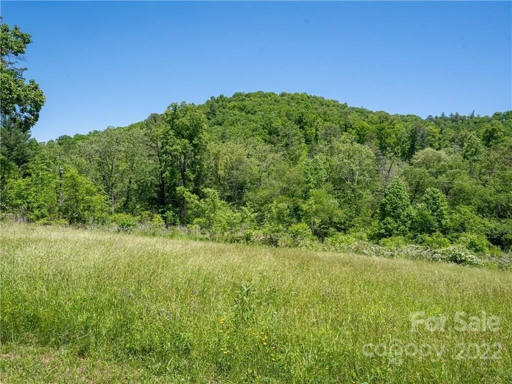 House in Asheville, North Carolina, United States 5 - 13210010