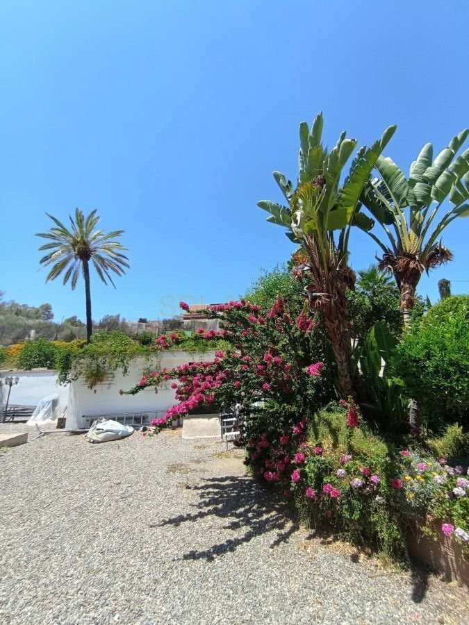 Country House in Alora, Andalusia, Spain 5 - 14501187