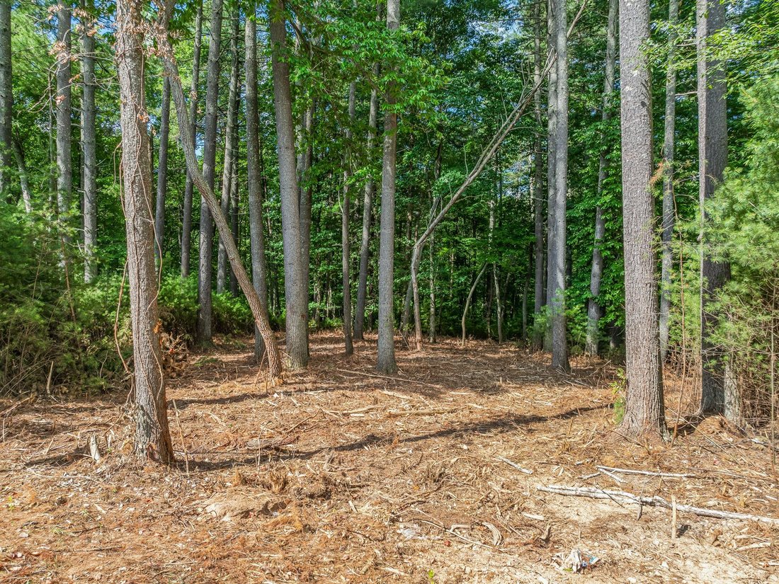 Land in Asheville, North Carolina, United States 5 - 14447890