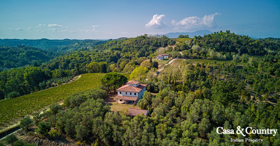 House in Palaia, Tuscany, Italy 5 - 14156141