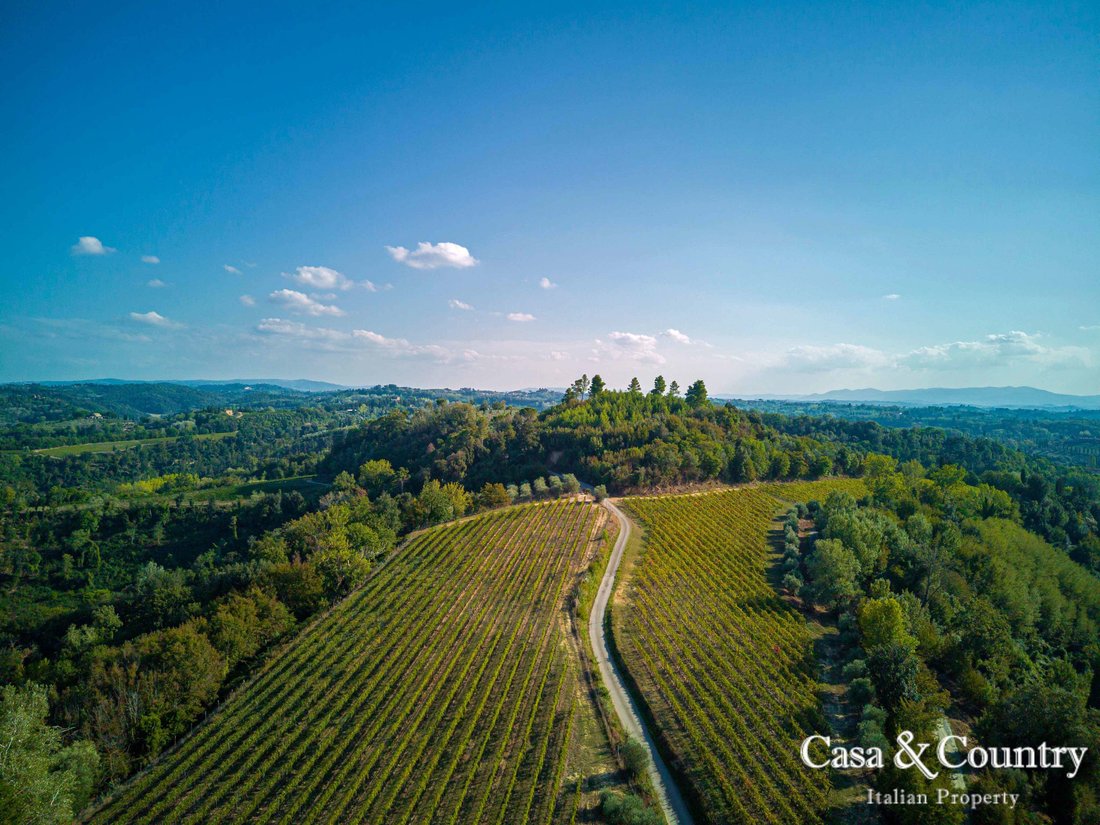 Villa in Palaia, Tuscany, Italy 3 - 14295605