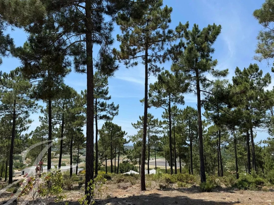 Land in Carvalhal, Setubal, Portugal 3 - 14498680