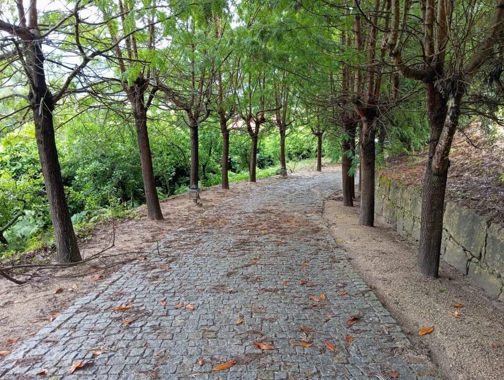 Farm Ranch in Gondar, Porto District, Portugal 1 - 14500183